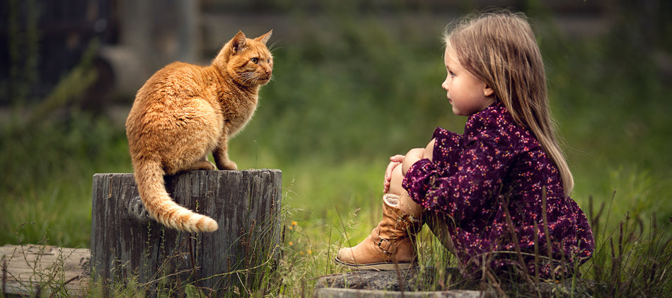 Cat Sitting on Tree Stump Looking at Small Girl Sitting in Grass